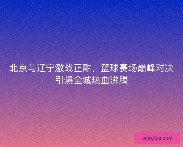 北京与辽宁激战正酣，篮球赛场巅峰对决引爆全城热血沸腾