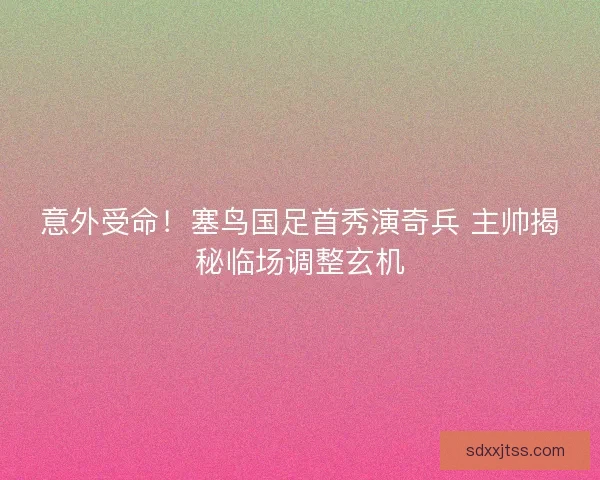 意外受命！塞鸟国足首秀演奇兵 主帅揭秘临场调整玄机